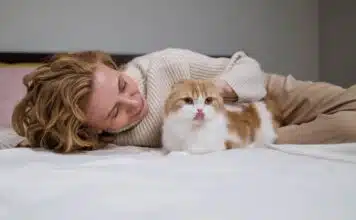 Les conseils pour assurer le bien-être de votre chat au quotidien