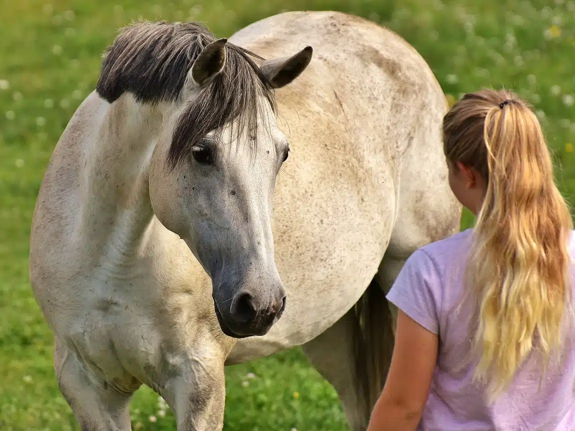 les Français et leurs animaux préférés